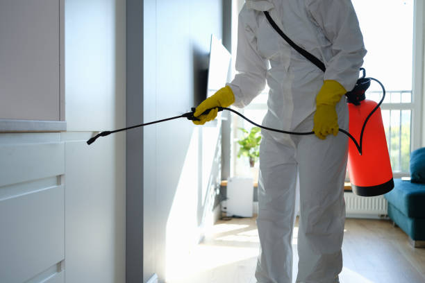 Best Industrial Mold Remediation in Sissonville, WV