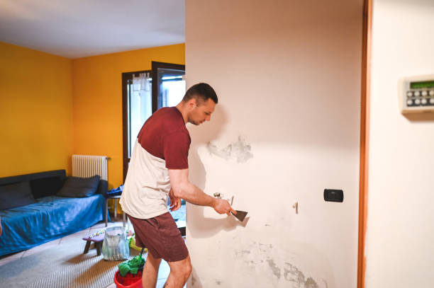 Best Crawl Space Mold Remediation in Sissonville, WV