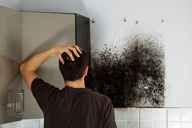 Best Bathroom Mold Remediation in Sissonville, WV